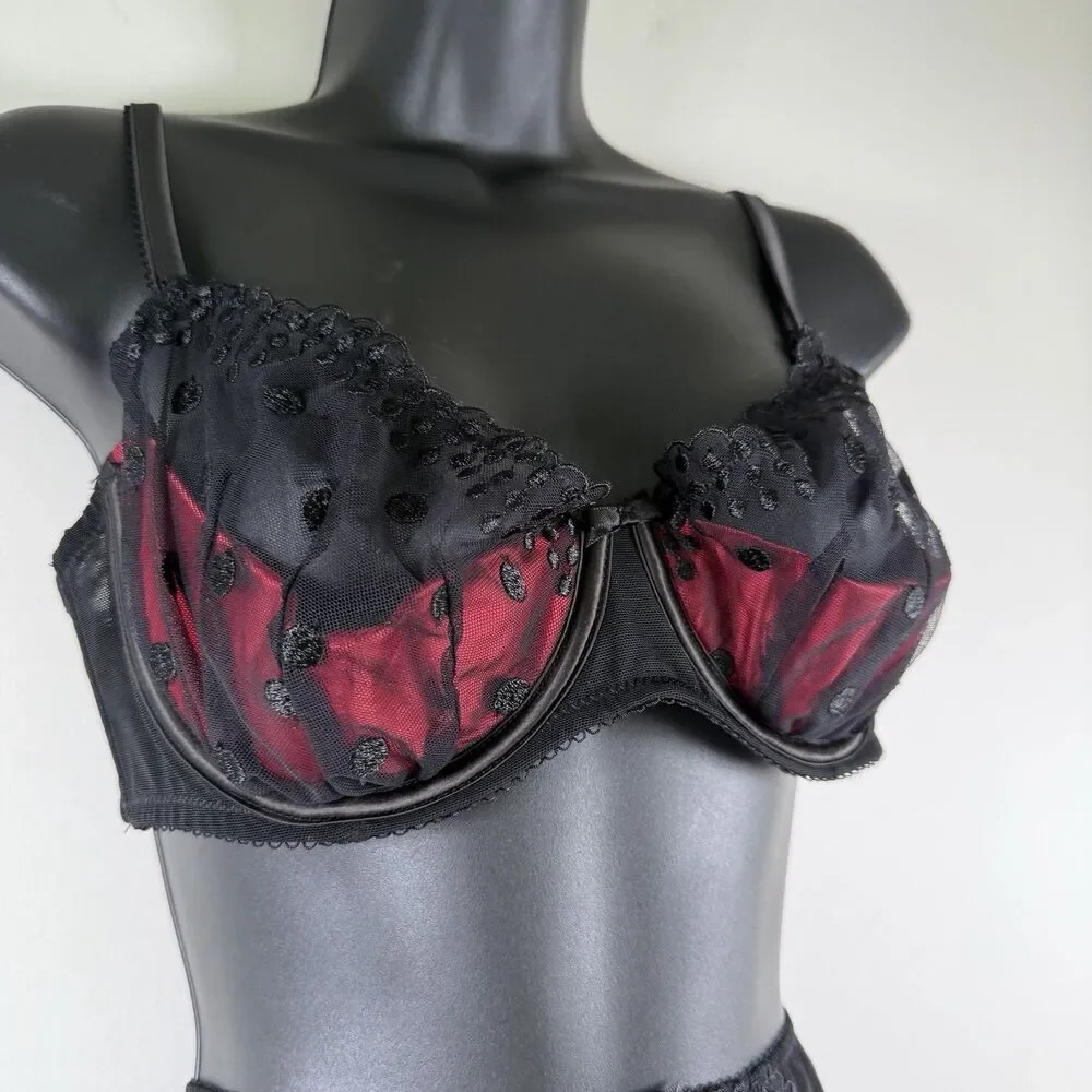 FIG LEAVES Black Red Sheer Bra And Thong Panty Sz 36D 12 NWT